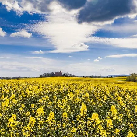Appartement Reimers Boltenhagen (Ostseebad)